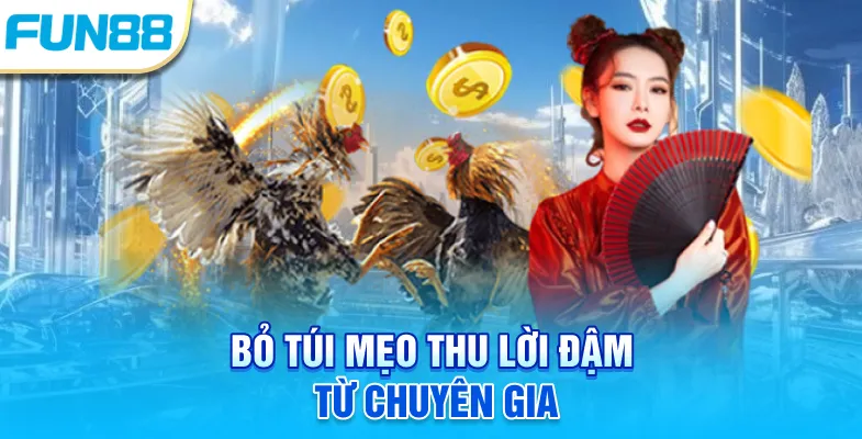 Bỏ túi mẹo thu lời đậm từ chuyên gia