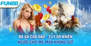 Đá gà cựa dao - 3 lý do khiến người chơi mê mẩn không dứt