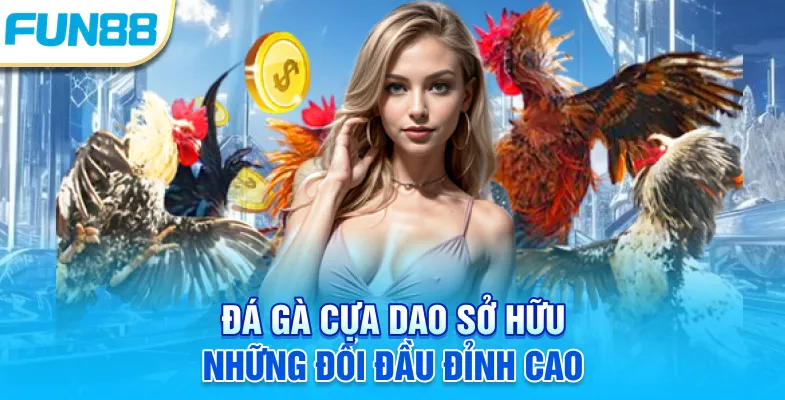 Đá gà cựa dao sở hữu những đối đầu đỉnh cao