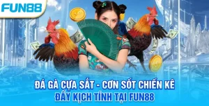 Đá gà cựa sắt - Cơn sốt chiến kê đầy kịch tính tại Fun88