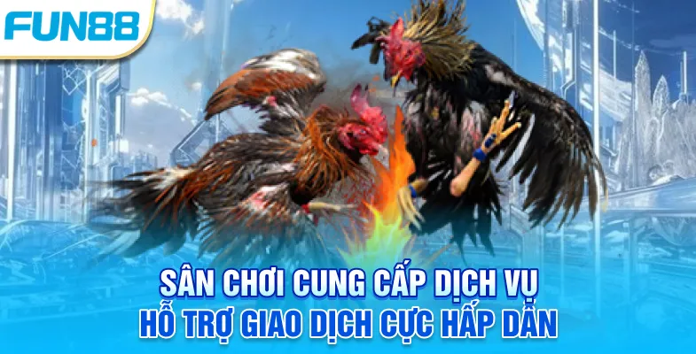Sân chơi cung cấp dịch vụ hỗ trợ giao dịch cực hấp dẫn
